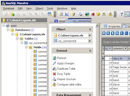 AnySQL Maestro Professional 2025