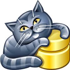 AnySQL Maestro Professional 2025